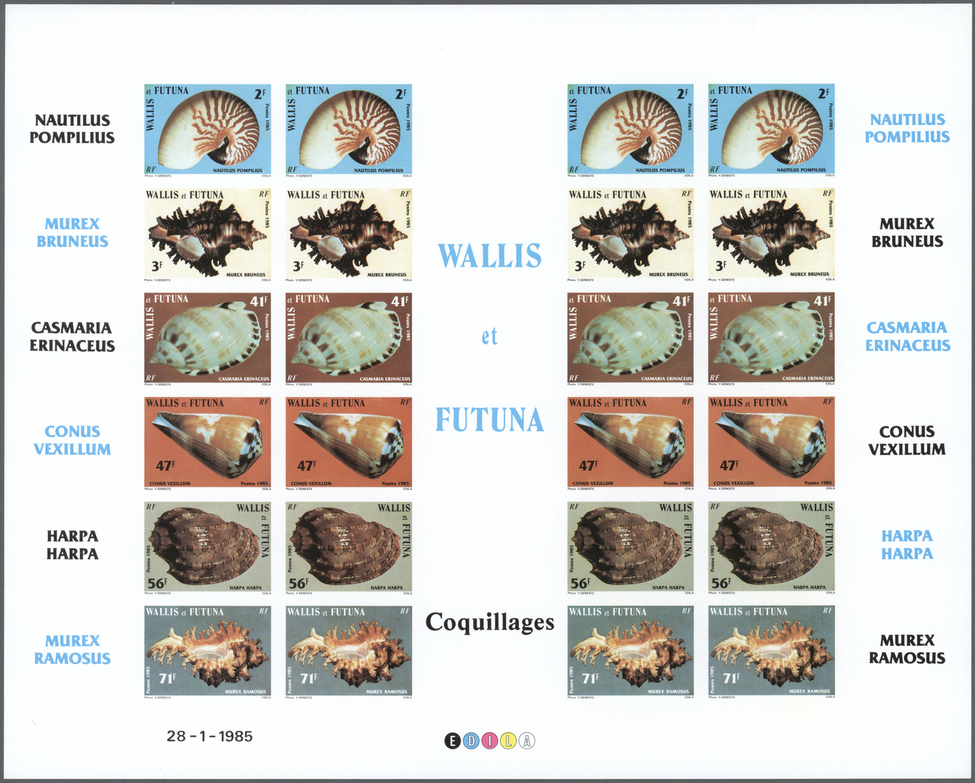 (*) Thematik: Tiere-Meerestiere-Muscheln / Animals-sea Animals-shells: 1983/1985, WALLIS And FUTUNA: Conches ('Meeressch - Coneshells