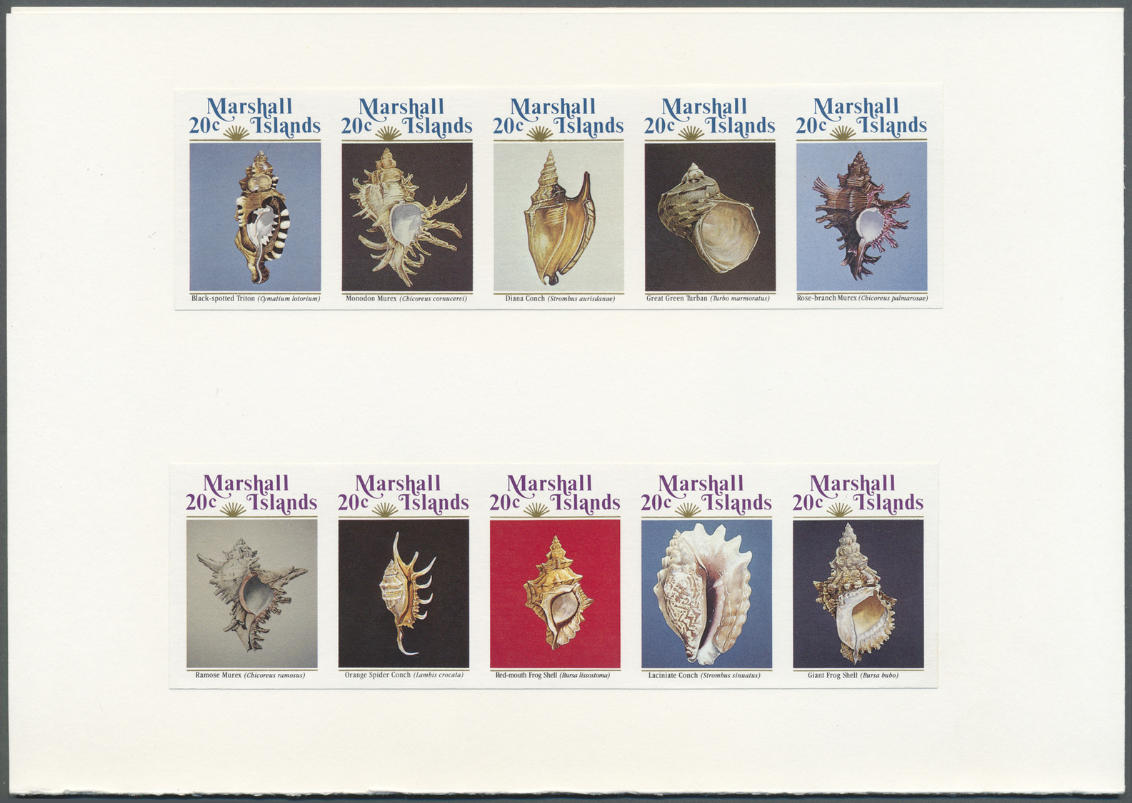 Thematik: Tiere-Meerestiere-Muscheln / Animals-sea Animals-shells: 1985/1986, Marshall Islands. Imperforate Proofs For B - Coneshells
