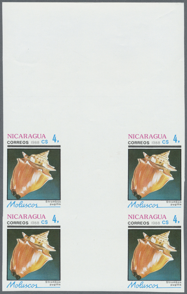 ** Thematik: Tiere-Meerestiere-Muscheln / Animals-sea Animals-shells: 1988, Nicaragua. Complete Set SHELLS In Imperforat - Coneshells