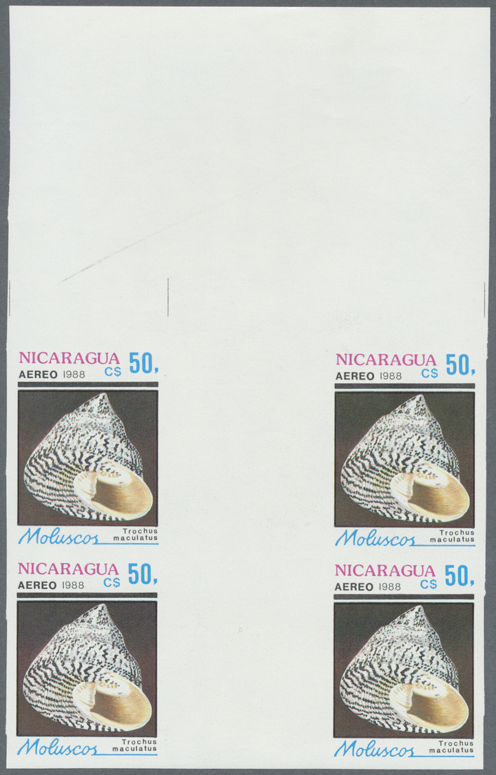 ** Thematik: Tiere-Meerestiere-Muscheln / Animals-sea Animals-shells: 1988, Nicaragua. Complete Set SHELLS In Imperforat - Coneshells