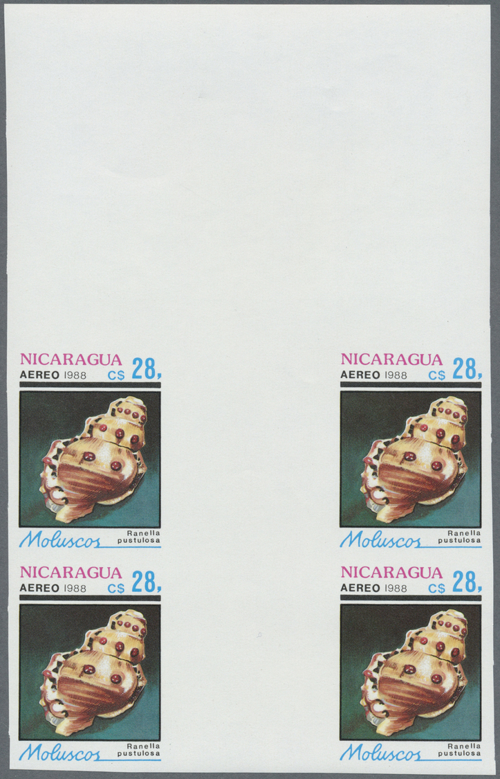 ** Thematik: Tiere-Meerestiere-Muscheln / animals-sea animals-shells: 1988, Nicaragua. Complete set SHELLS in imperforat