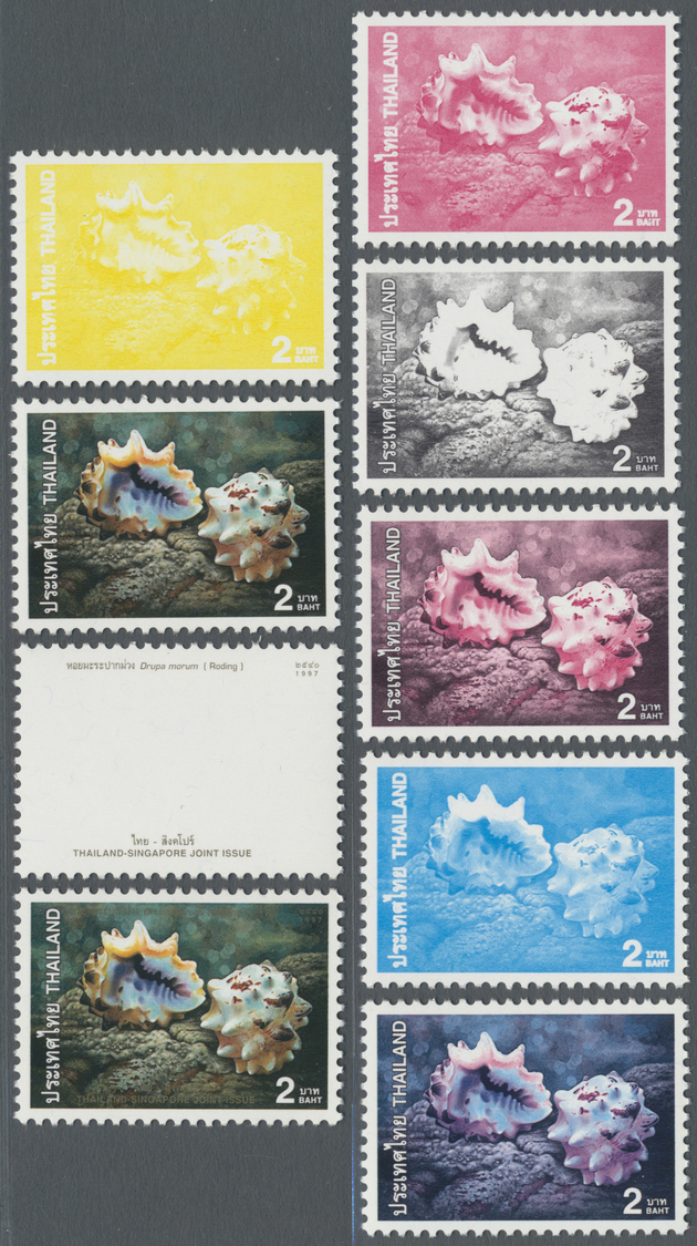 ** Thematik: Tiere-Meerestiere-Muscheln / Animals-sea Animals-shells: 1997, Thailand. Progressive Proof (8 Phases) For T - Coneshells