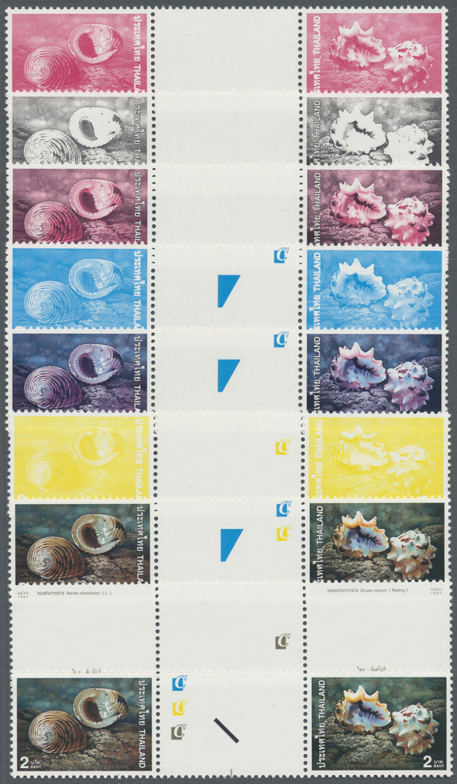 ** Thematik: Tiere-Meerestiere-Muscheln / Animals-sea Animals-shells: 1997, Thailand. Progressive Proof (9 Phases Inclus - Coneshells