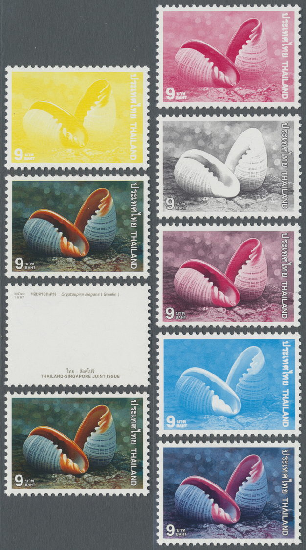 ** Thematik: Tiere-Meerestiere-Muscheln / Animals-sea Animals-shells: 1997, Thailand. Progressive Proof (8 Phases) For T - Coneshells