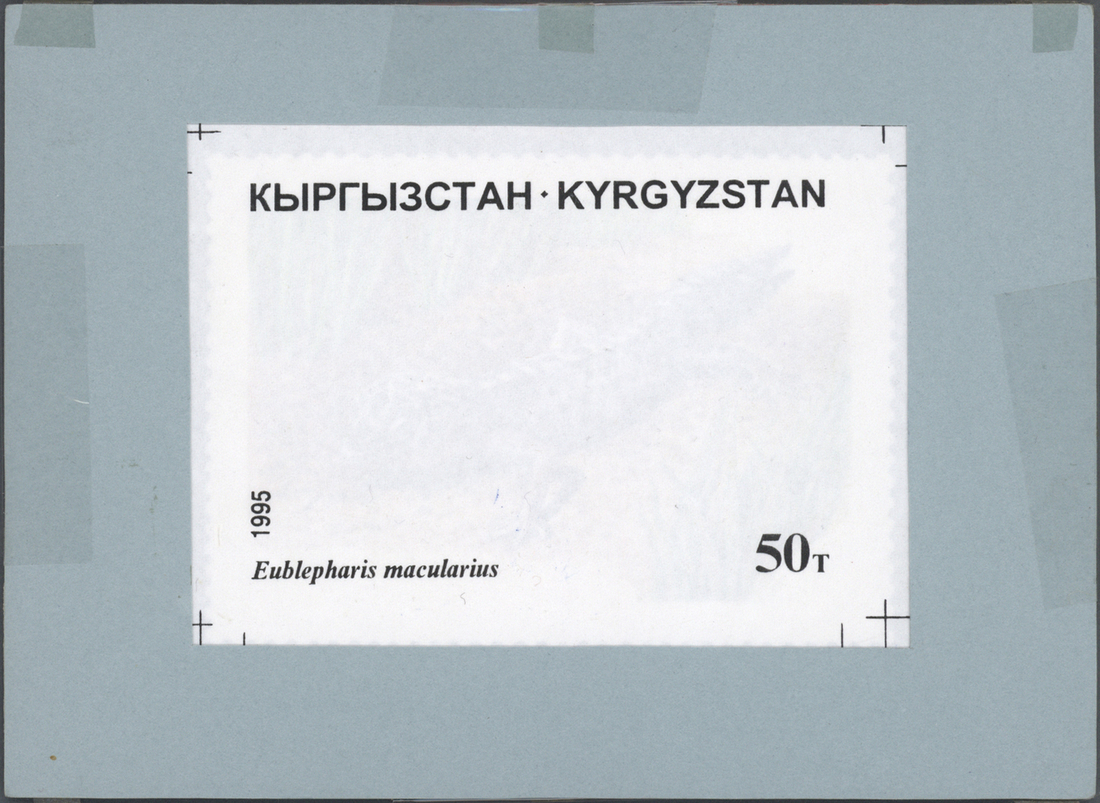 Thematik: Tiere-Reptilien / Animals-reptiles: 1995/1996, Kyrgyzstan. Set Of 8 Artworks For Stamps Of The Complete Reptil - Other & Unclassified