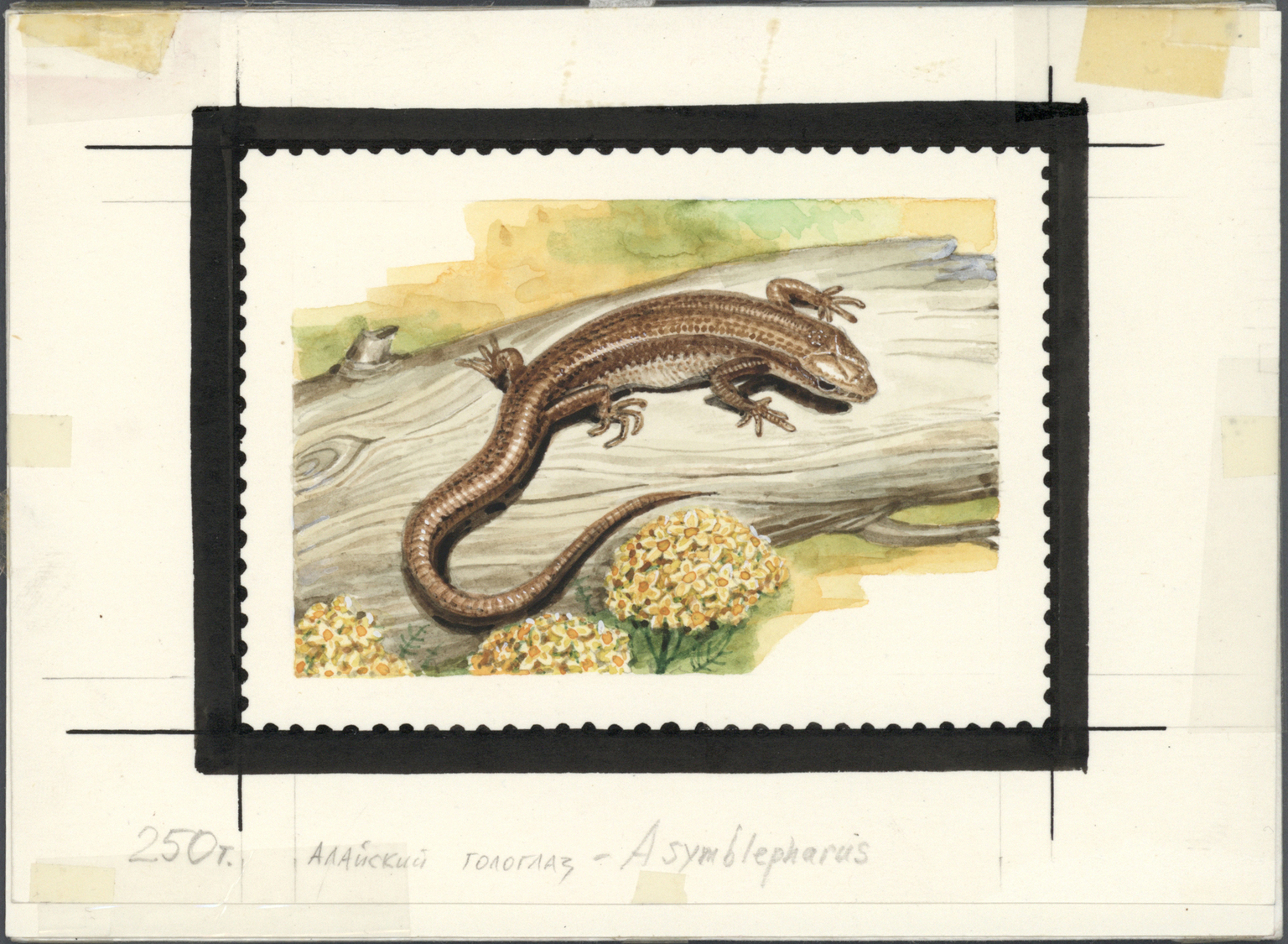 Thematik: Tiere-Reptilien / Animals-reptiles: 1995/1996, Kyrgyzstan. Set Of 8 Artworks For Stamps Of The Complete Reptil - Other & Unclassified