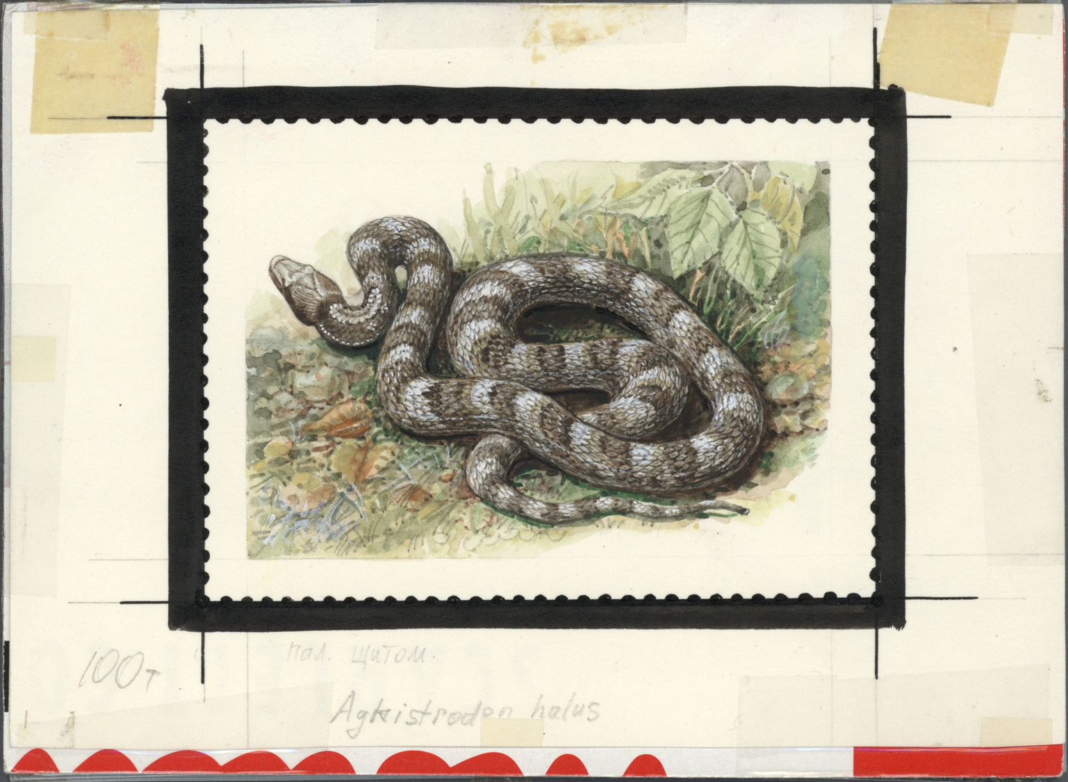 Thematik: Tiere-Reptilien / animals-reptiles: 1995/1996, Kyrgyzstan. Set of 8 artworks for stamps of the complete Reptil