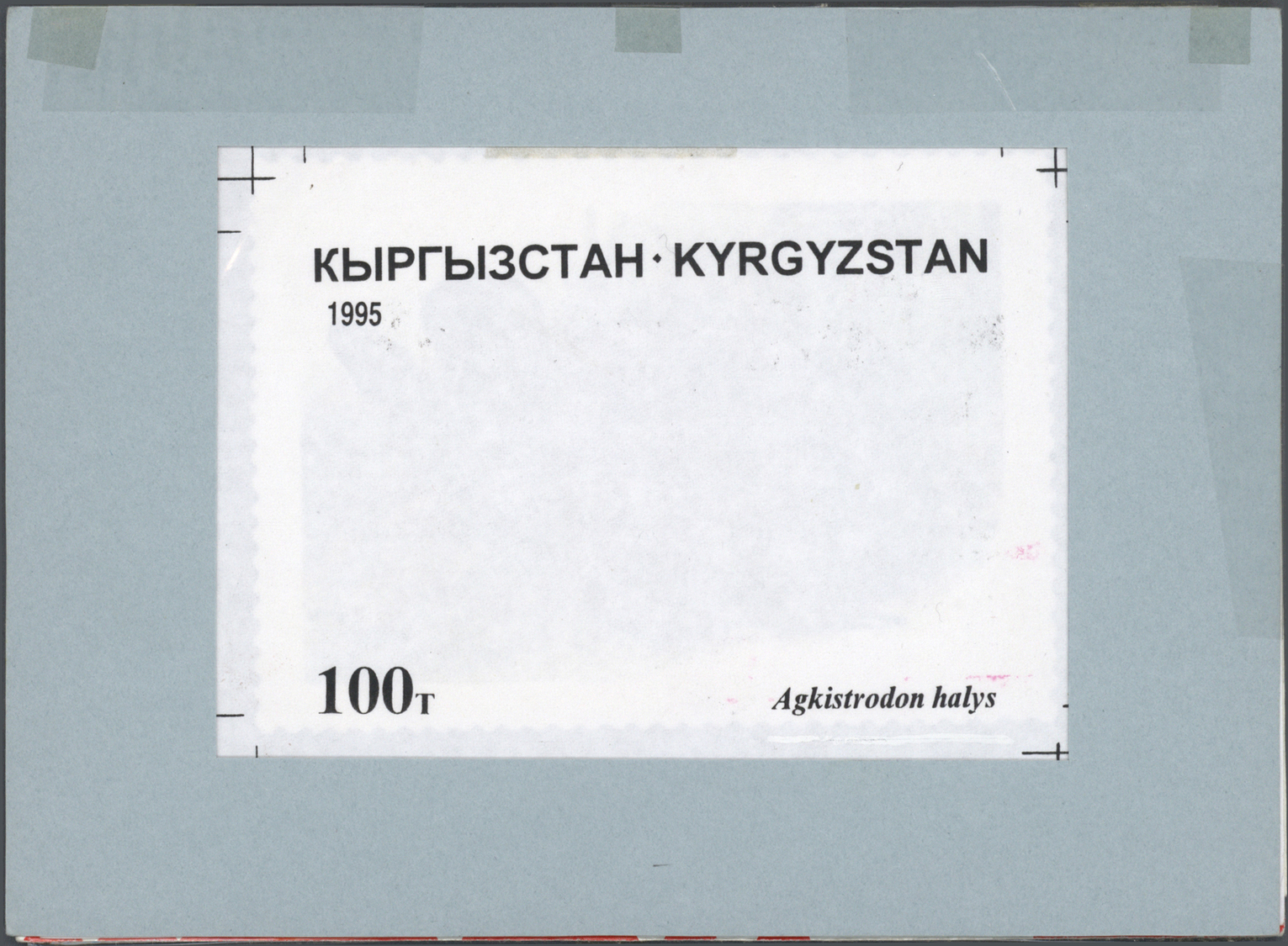 Thematik: Tiere-Reptilien / animals-reptiles: 1995/1996, Kyrgyzstan. Set of 8 artworks for stamps of the complete Reptil