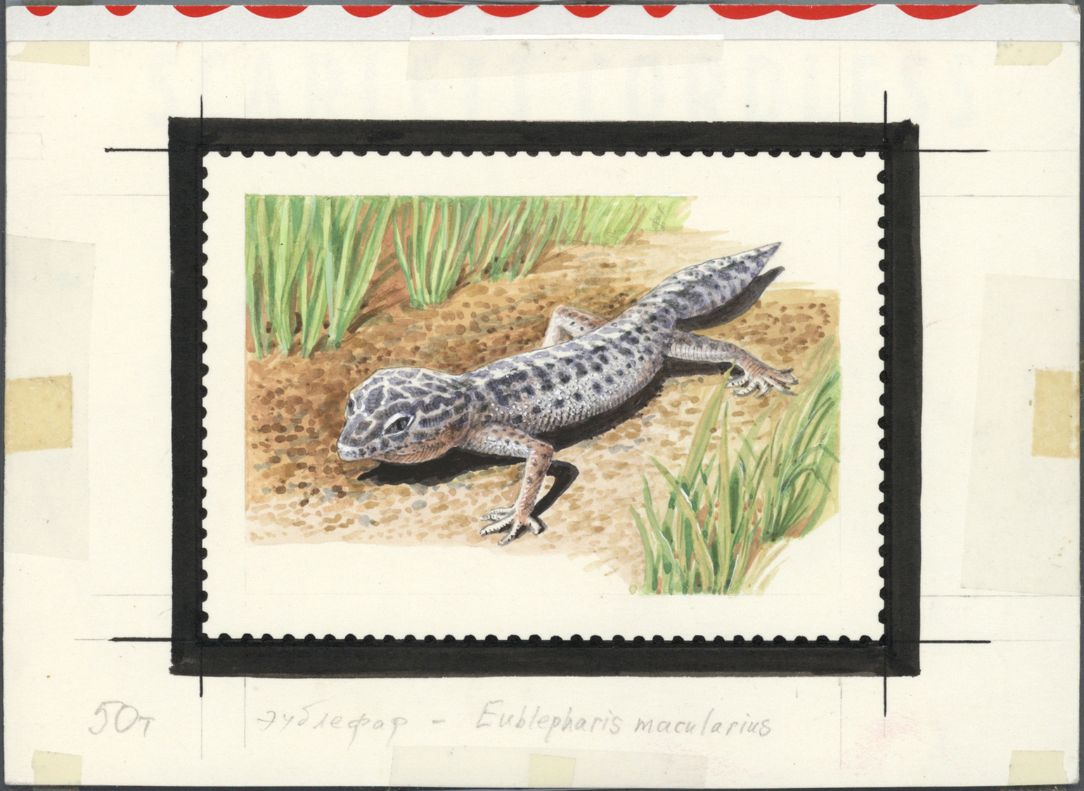 Thematik: Tiere-Reptilien / animals-reptiles: 1995/1996, Kyrgyzstan. Set of 8 artworks for stamps of the complete Reptil