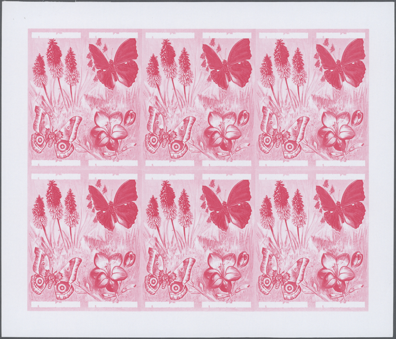 ** Thematik: Tiere-Schmetterlinge / Animals-butterflies: 1973, Burundi. Progressive Proof (6 Phases) For The Four 2fr Va - Butterflies