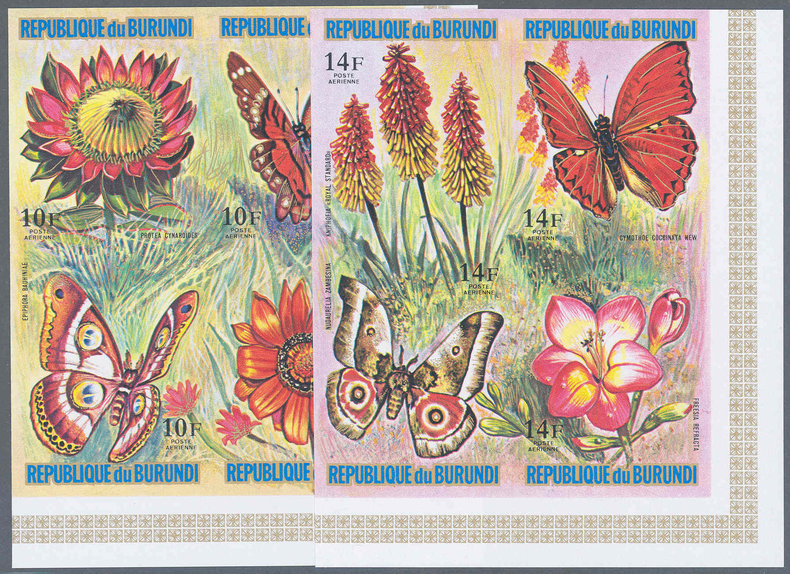 ** Thematik: Tiere-Schmetterlinge / Animals-butterflies: 1973, Burundi, Schmetterlinge Und Blumen Komplette Serie In UNG - Butterflies