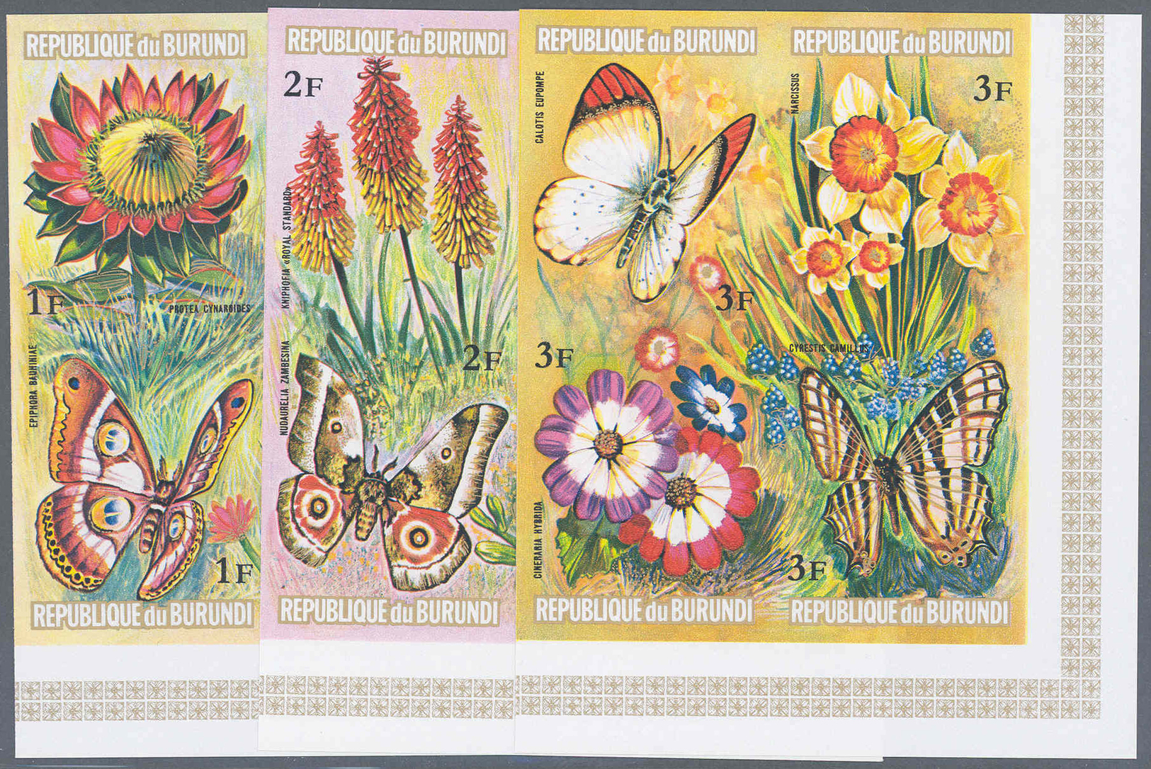 ** Thematik: Tiere-Schmetterlinge / Animals-butterflies: 1973, Burundi, Schmetterlinge Und Blumen Komplette Serie In UNG - Butterflies