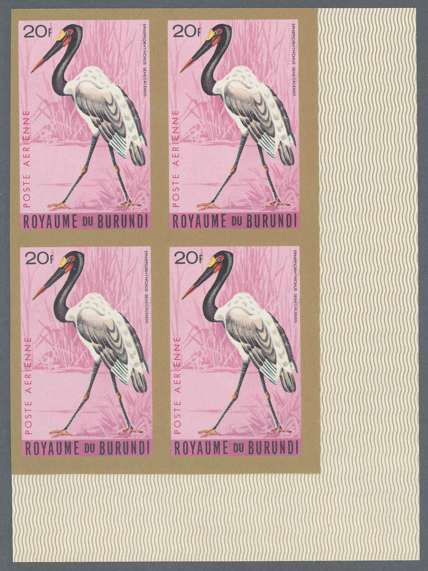 ** Thematik: Tiere-Vögel / Animals-birds: 1965, Burundi, Flugpostmarken Vögel Komplette Serie In UNGEZÄHNTEN Postfrische - Other & Unclassified