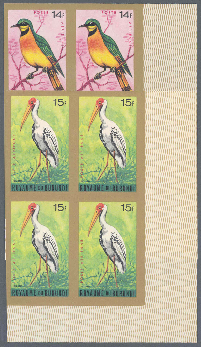 ** Thematik: Tiere-Vögel / Animals-birds: 1965, Burundi, Flugpostmarken Vögel Komplette Serie In UNGEZÄHNTEN Postfrische - Other & Unclassified