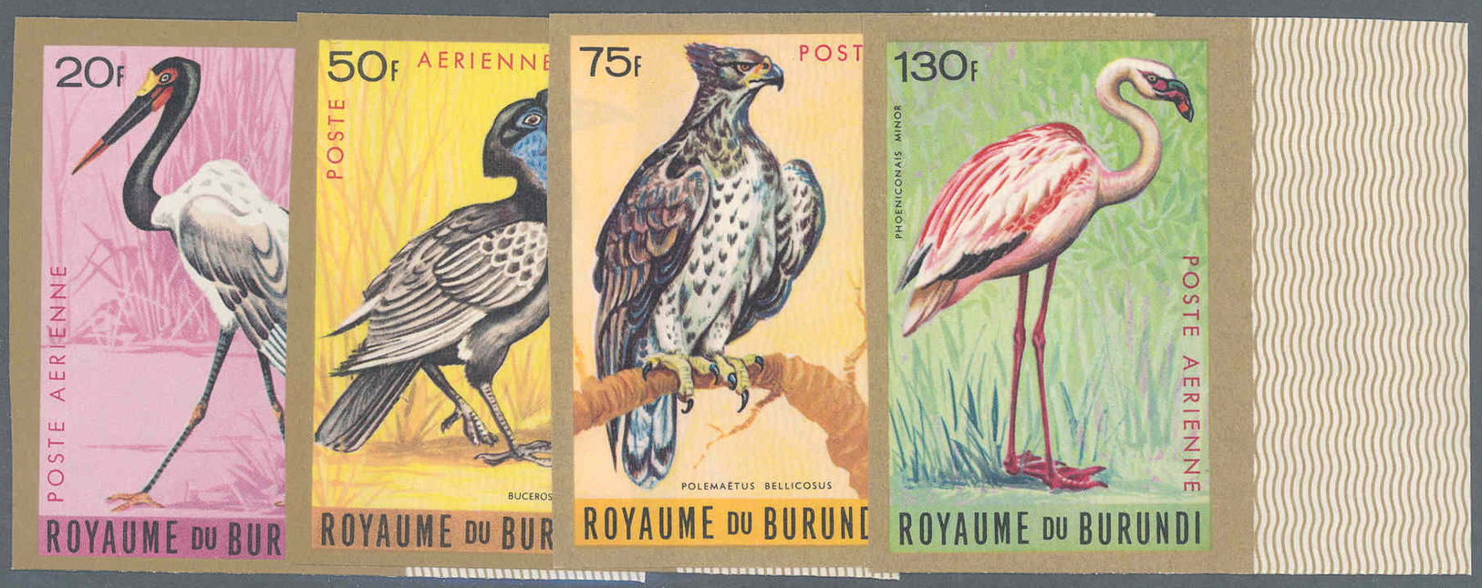 ** Thematik: Tiere-Vögel / Animals-birds: 1965, Burundi, Flugpostmarken Vögel Komplette Serie In UNGEZÄHNTEN Randstücken - Other & Unclassified