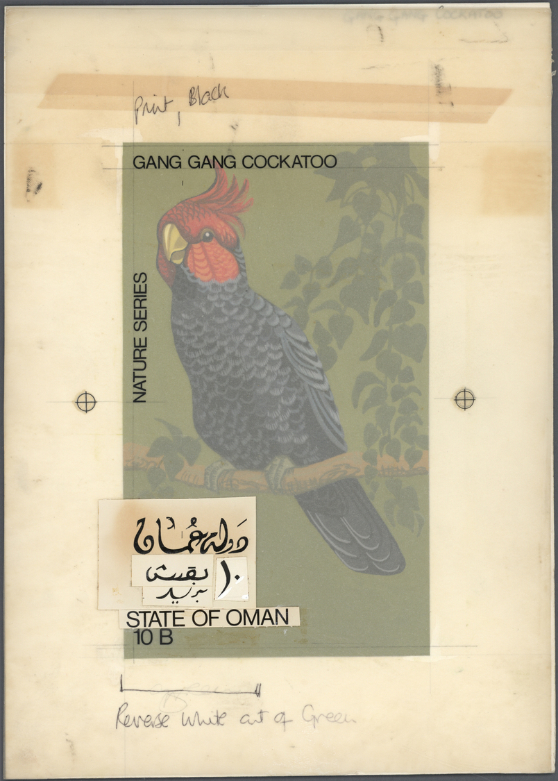Thematik: Tiere-Vögel / Animals-birds: 1968, Oman (Propaganda). Artist's Drawing For A 10B Stamp (Nature Series) Showing - Other & Unclassified