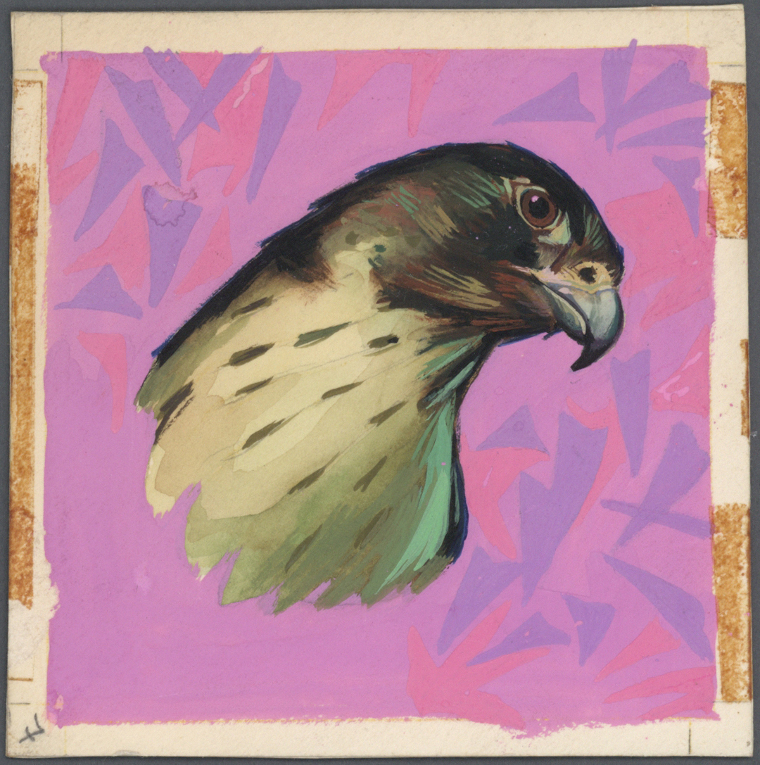 Thematik: Tiere-Vögel / Animals-birds: 1969, Fujeira, Final Drawing For Airmail-nomination 5R. "Adler", Size 8,9x9cm, Ad - Other & Unclassified