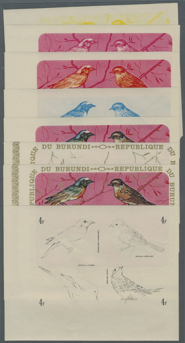 ** Thematik: Tiere-Vögel / Animals-birds: 1970, Burundi, Phoenicurus Phoenicurus, Prunella Modularis, Motacilla Cinerea, - Other & Unclassified