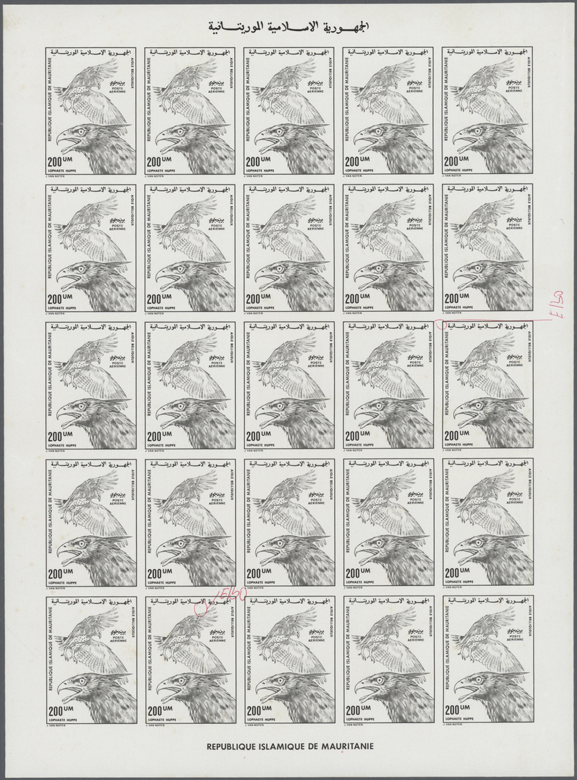 ** Thematik: Tiere-Vögel / Animals-birds: 1976, Mauritania, 6 Items, Progressive Plate Proofs For The 200c Nomination In - Other & Unclassified