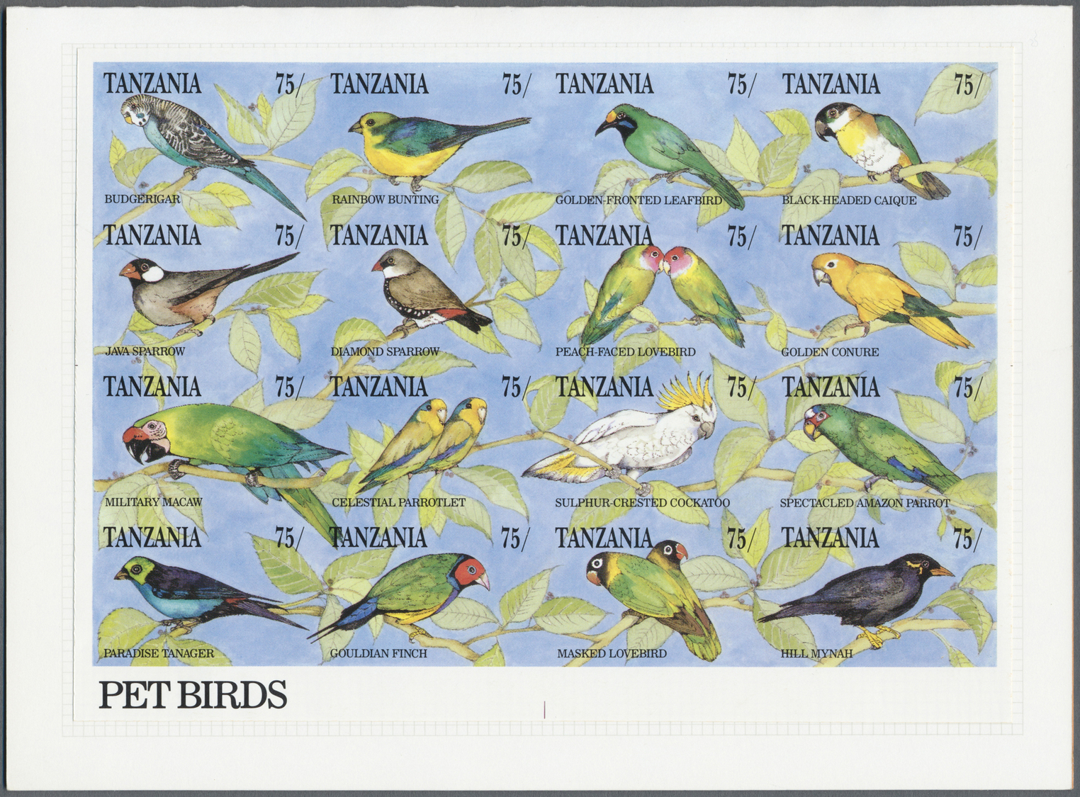 Thematik: Tiere-Vögel / Animals-birds: 1991, Tanzania. Imperforate Proof In A Miniature Sheet Of 16 For The Complete PET - Other & Unclassified