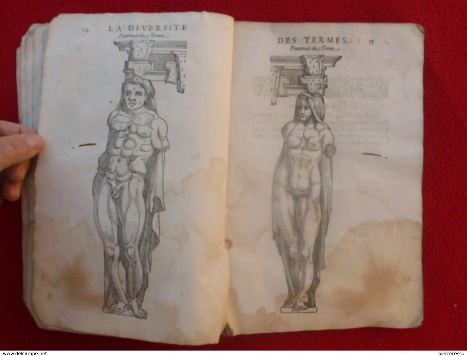 LIVRE JEAN MARCORELLE 1572 HUGUES SAMBIN ARCHITECTE LA DIVERSITE DES TERMES AU SEIGNEUR ELEONOR CHABOT