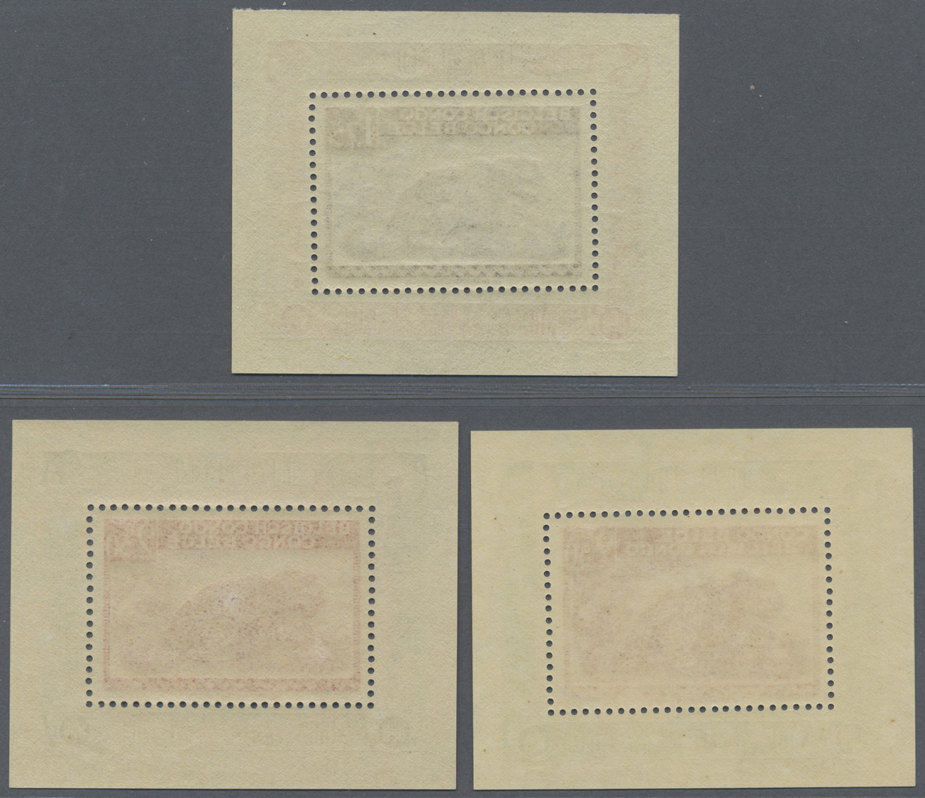 Belgisch-Kongo: 1943, Set of totally 12 different souvenir sheets Belgisch Kongo Bl. 3-10 and Ruanda-Urundi Bl. 1-3 issu