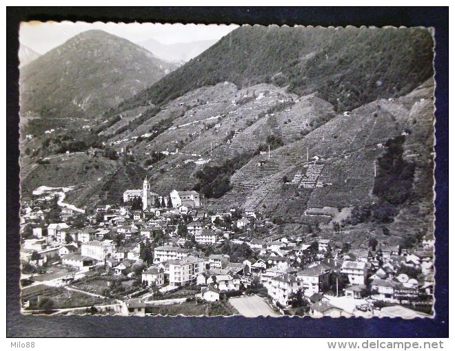 SVIZZERA -GORDOLA TICINO -F.G. LOTTO N°599 - Gordola