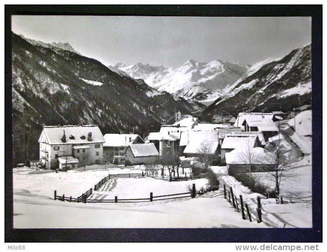 SVIZZERA -CATTO QUINTO TICINO -F.G. LOTTO N°599 - Quinto