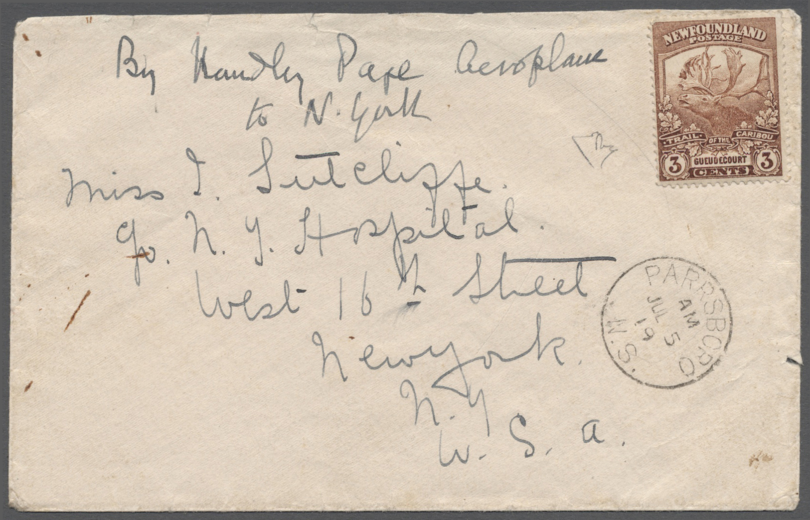 Br Neufundland: SUPPLEMENTARY MAIL „HANDLEY PAGE”: 1919, Unoverprinted Caribou 3 C. Brown Without Cancel On Flight Cover - 1857-1861