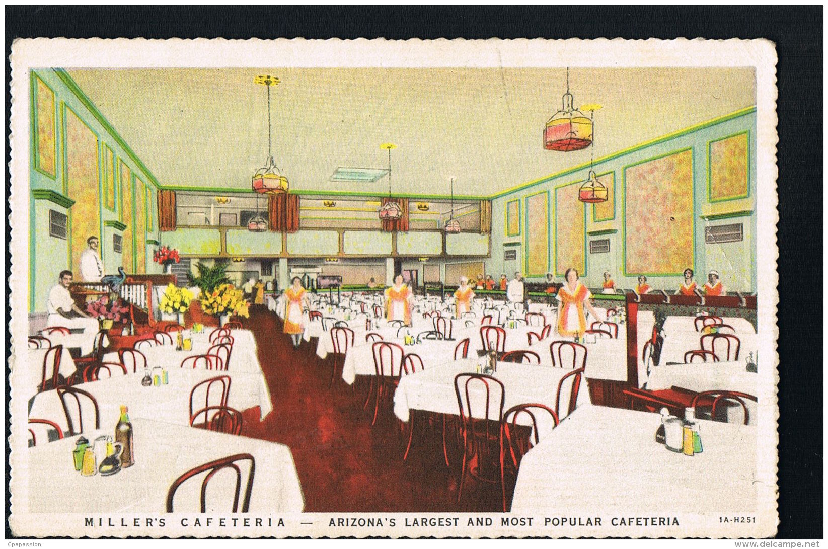 PHOENIX -ARIZONA  - Origninal Postcard MILLER'S CAFETERIA  - Scan Back Side - Paypal Free - Phoenix