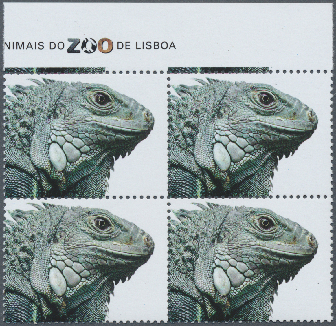 **/ Portugal: 2001, "Tiere Aus Dem Lissaboner Zoo, Grüner Inselleguan", 90 E Im Rand-4er Block Ohne Die Farbe Silb - Covers & Documents