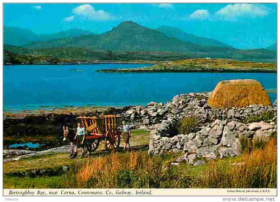 Irlande - Galway - Bertraghboy Bay - Near Carna - Voir Scans Recto-Verso - Galway