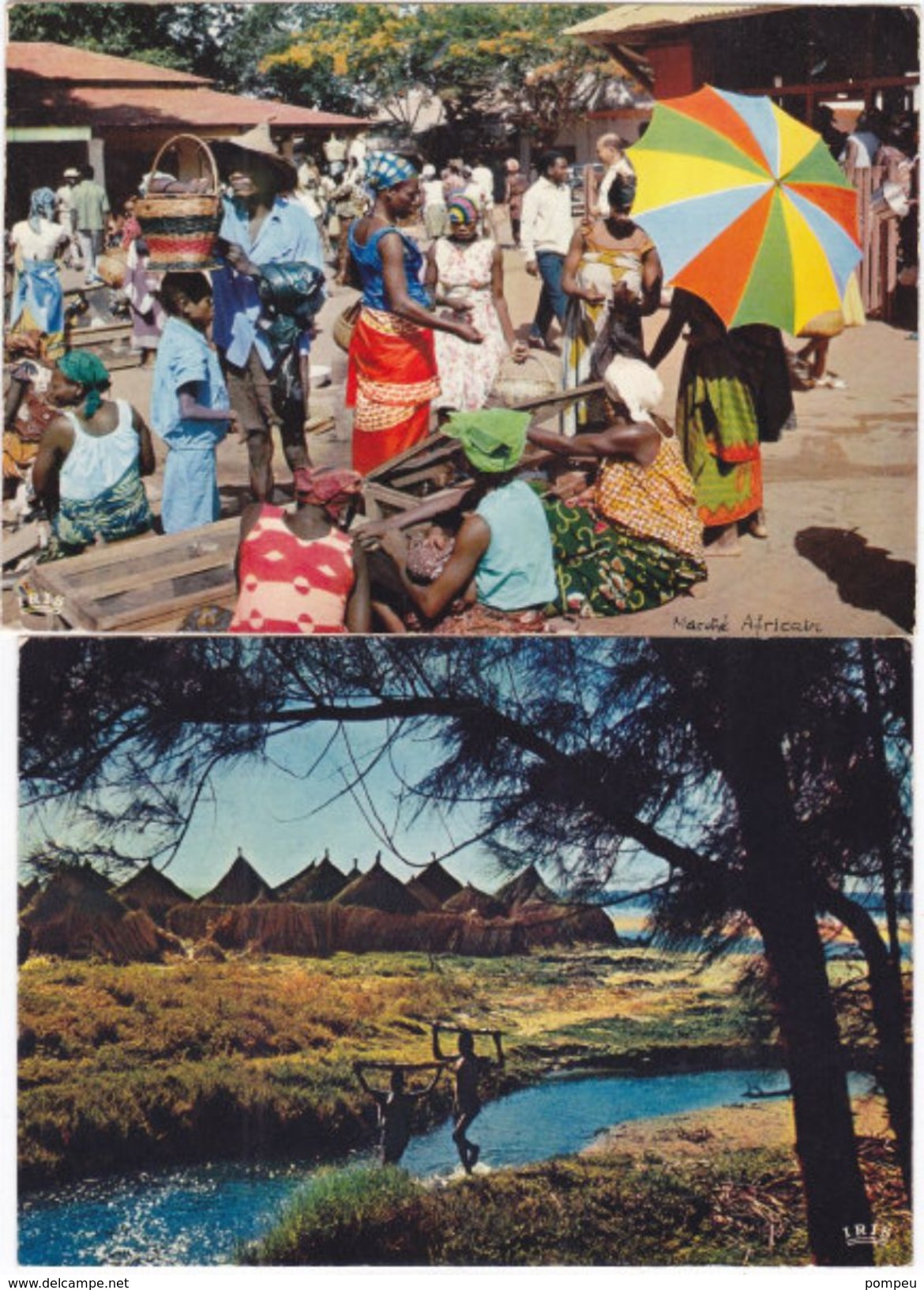 Lot (LX3) - 10 AK - AFRICA  IN  PICTURES - 5 - 99 Cartes