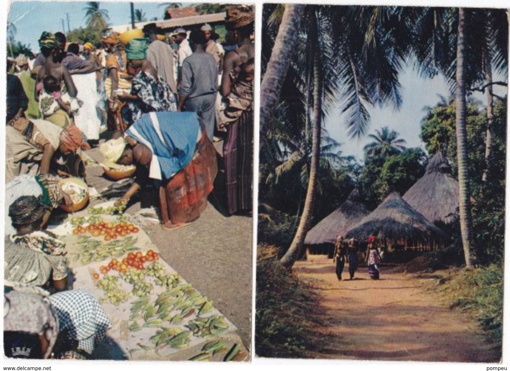 Lot (LX5) - 10 AK - AFRICA  IN  PICTURES - 5 - 99 Cartoline