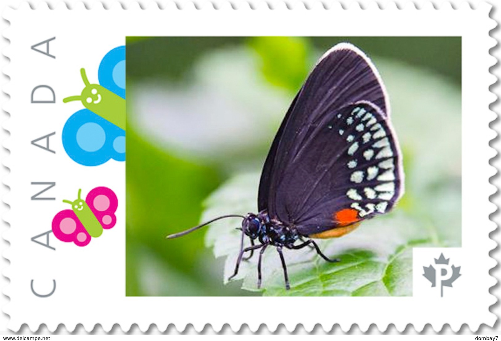 BUTTERFLY COLLECTION Of 6 Unique Picture Postage Stamps Canada 2017 P17-04bt6 - Papillons