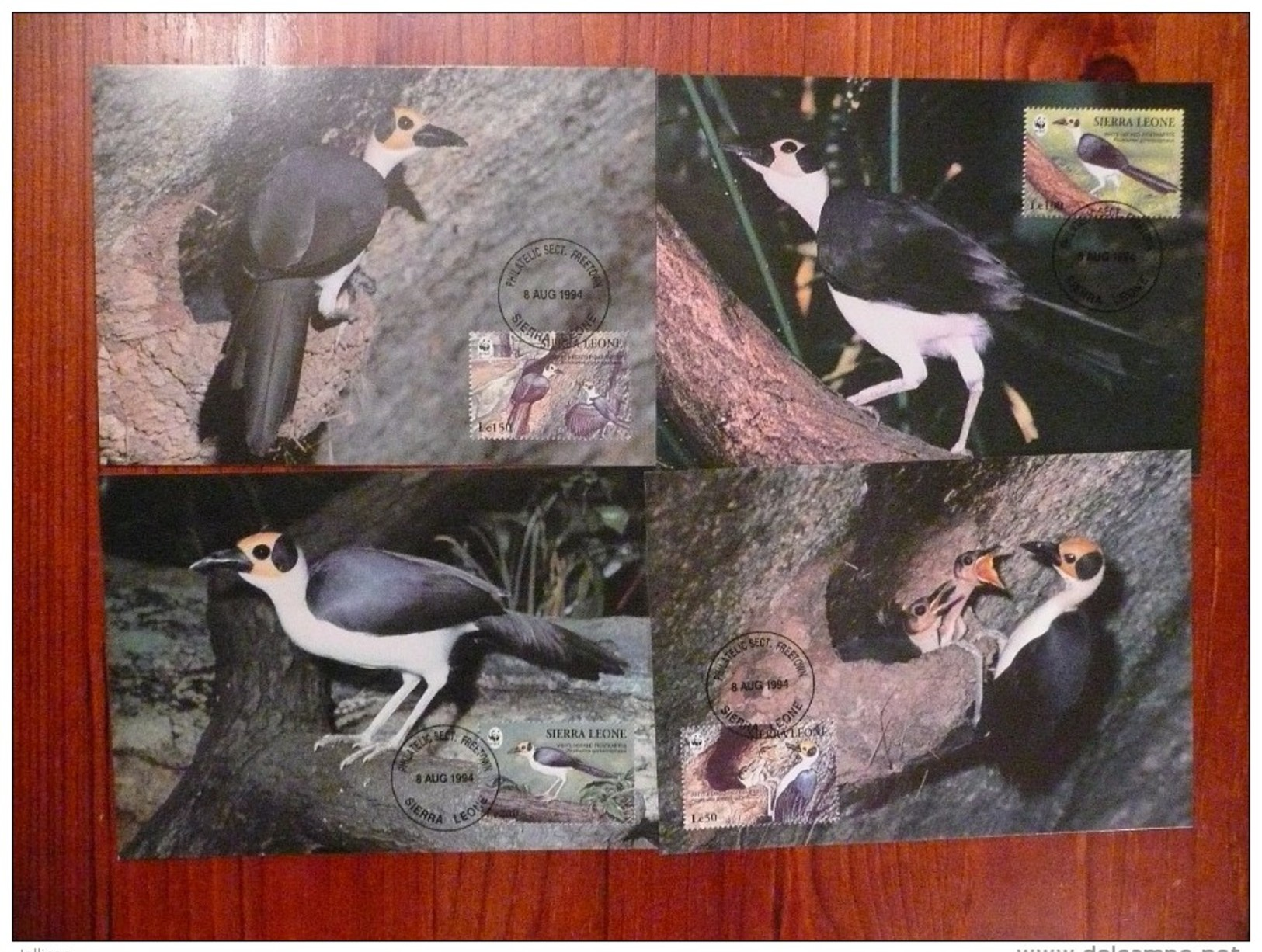 WWF Sierra Leone White-necked Picathartes Gelkopf-Felshüpfer 1994 CM MC Carte Maximum Maxicard MAximumkarte - Maximumkarten