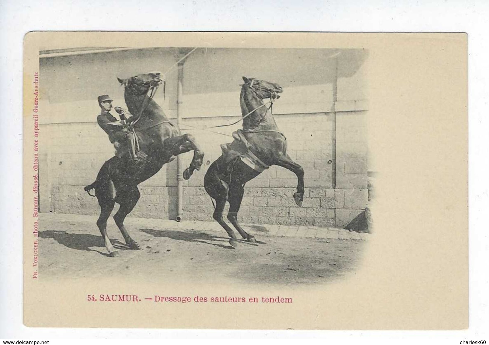CPA Animée Régiment De Cavalerie Saumur Dressage Des Sauteurs En Tandem Hérault Photographe Suter Bâle - Saumur