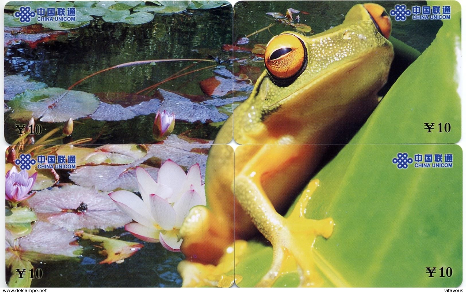 Grenouille Frog Puzzle 4 Télécartes Chine  Phonecard  Telefonkarte - Chine