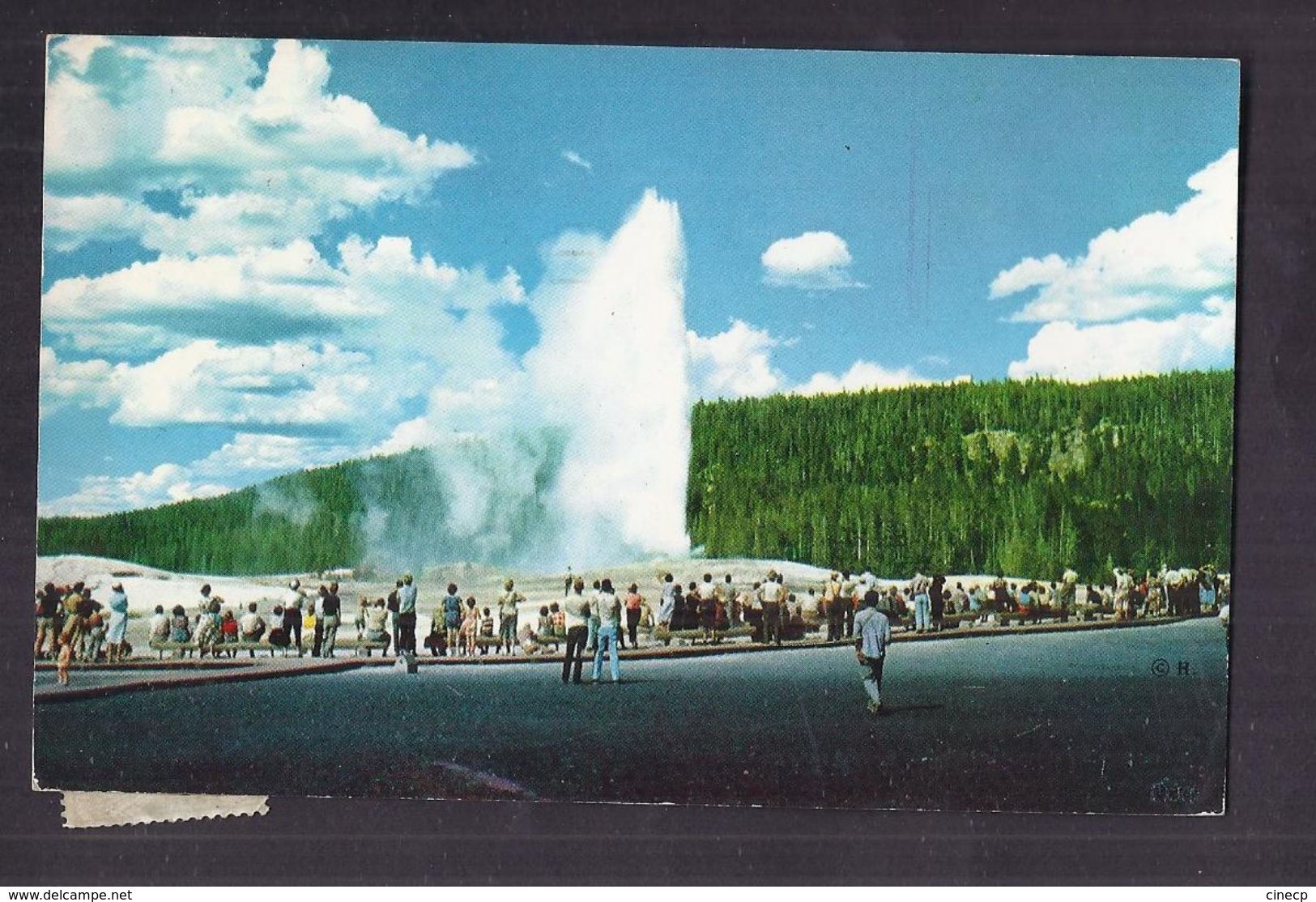 CPSM USA - Old Faithfull Geyser - Upper Geyser Basin Yellowstone - SUPERBE OBLIT2RATION + TB TIMBRES - Yellowstone