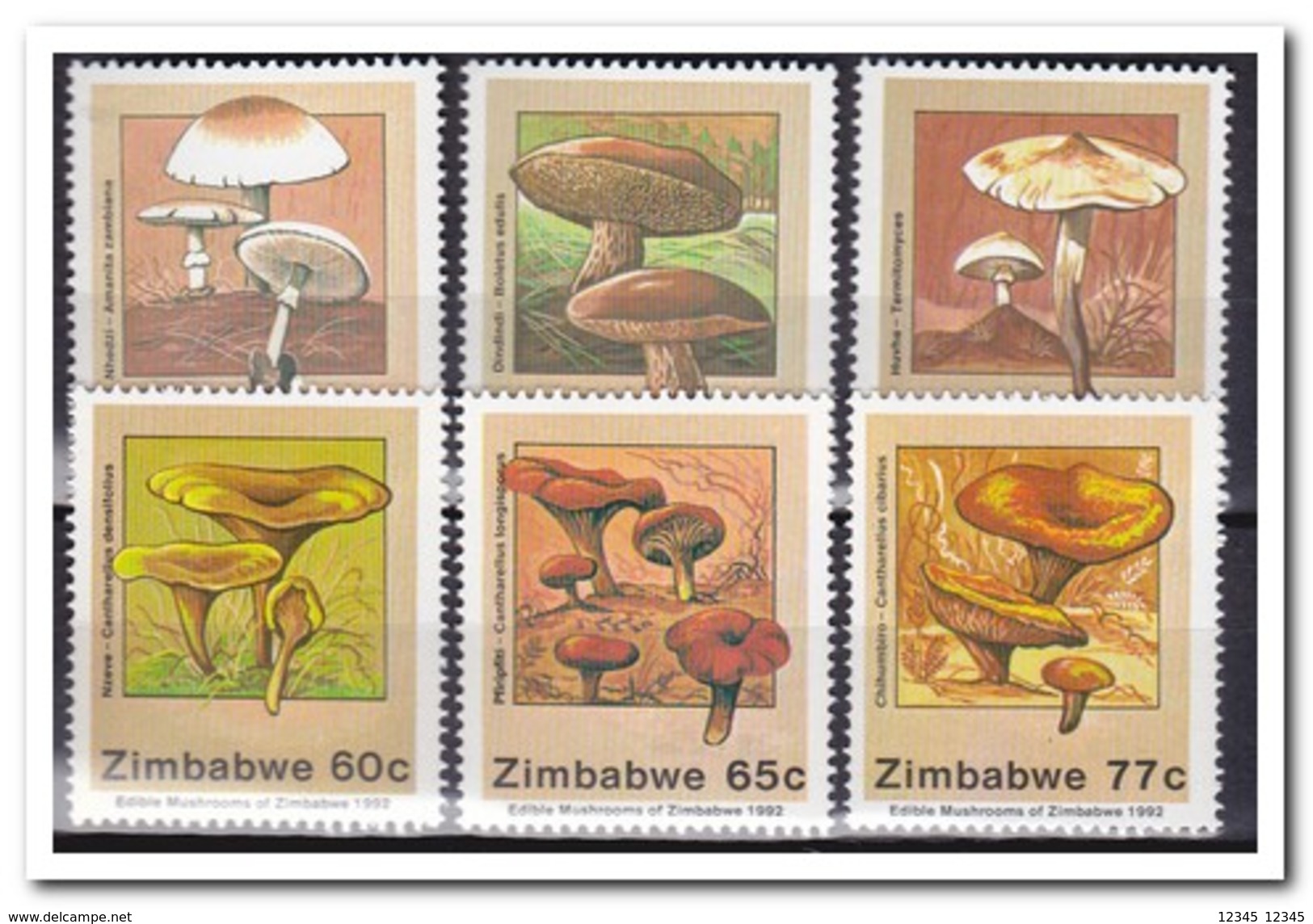 Zimbabwe 1992, Postfris MNH, Mushrooms - Zimbabwe (1980-...)