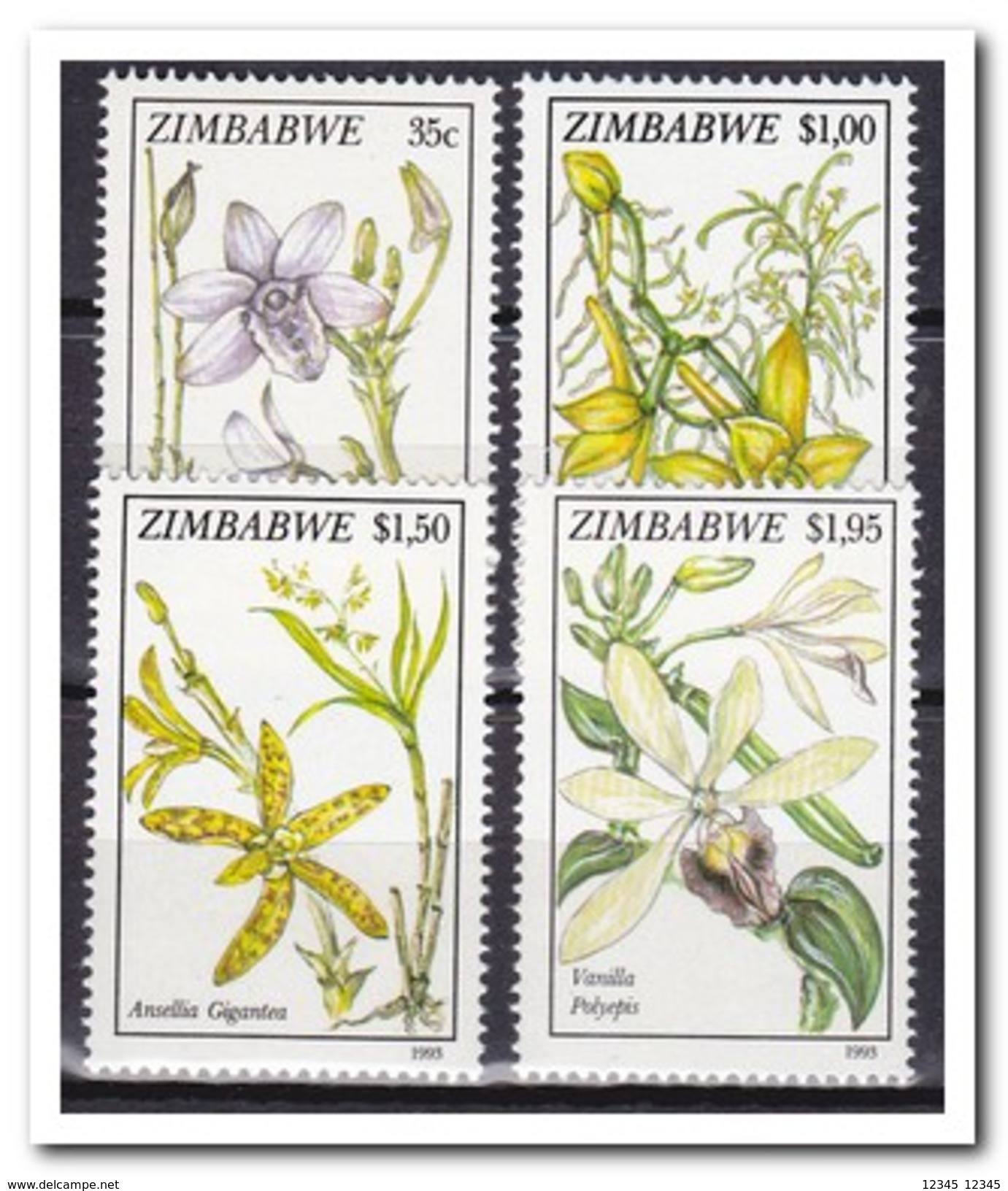 Zimbabwe 1993, Postfris MNH, Flowers, Orchids - Zimbabwe (1980-...)