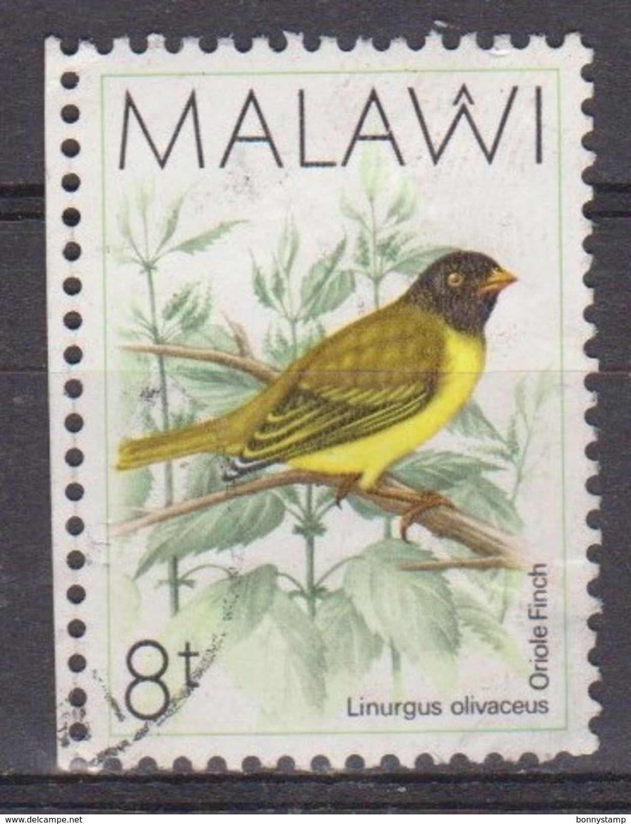 Malawi, 1994 - 8t Oriole Finch - Nr.522 Usato° - Passeri