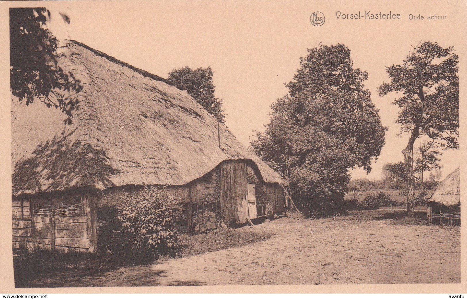 VORSEL / KASTERLEE / OUDE SCHUUR MET STROOIEN DAK - Kasterlee