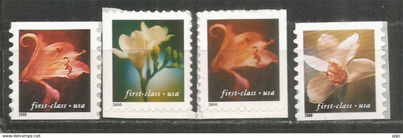 Orchidée,lis Bleu & Orangé,freesia. 4 Timbres Neufs ** Autocollants.,inclus Roulettes - Orchideen