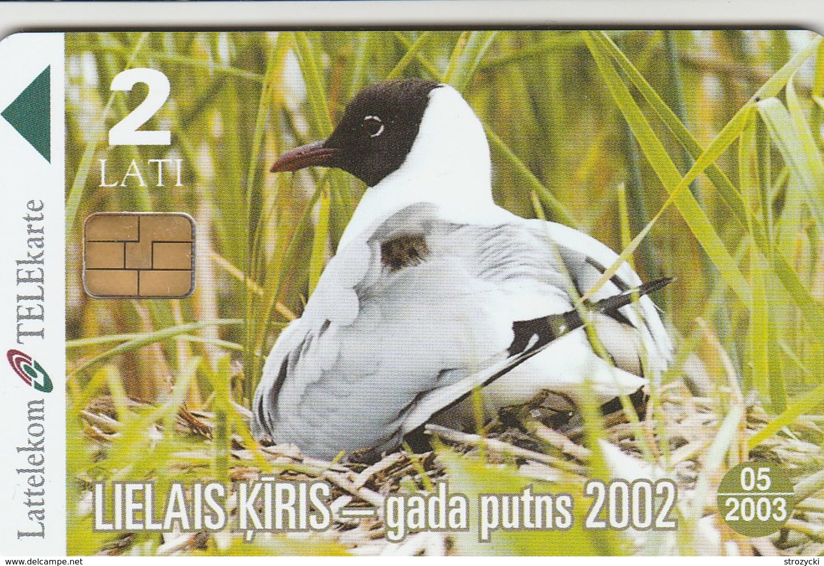Latvia - Black-headed Gull - The Bird Of The Year 2002 - Letland