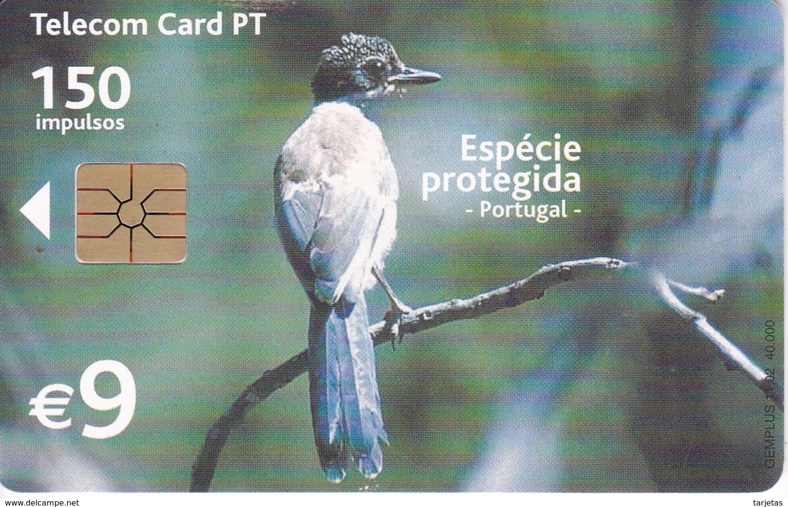 TARJETA DE PORTUGAL DE UN RABILARGO (BIRD-PAJARO) - Otros & Sin Clasificación