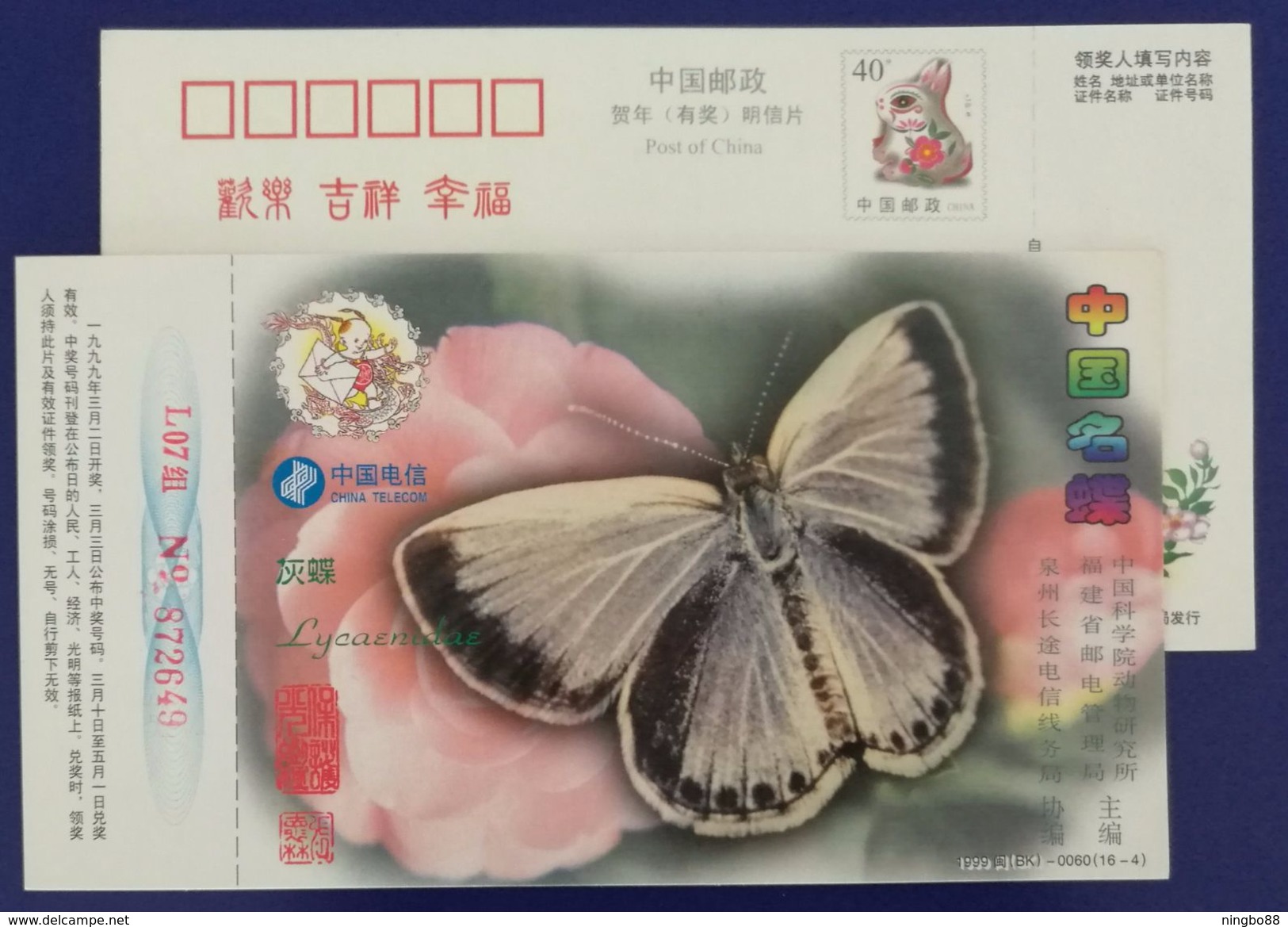 Butterfly,Lycaenidae,China 1999 Chinese Famous Butterfly Series Advertising Pre-stamped Card - Butterflies