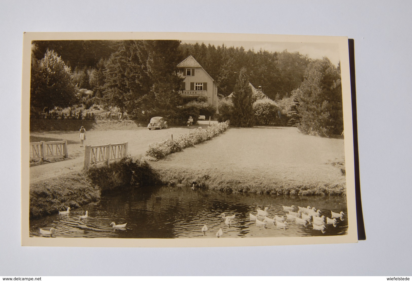 A808 - GERMANY DEUTSCHLAND - Waldhaus Elfenborn, Wilh. Barkhausen, Post Varenholz Bei Rinteln, Weser - Rinteln