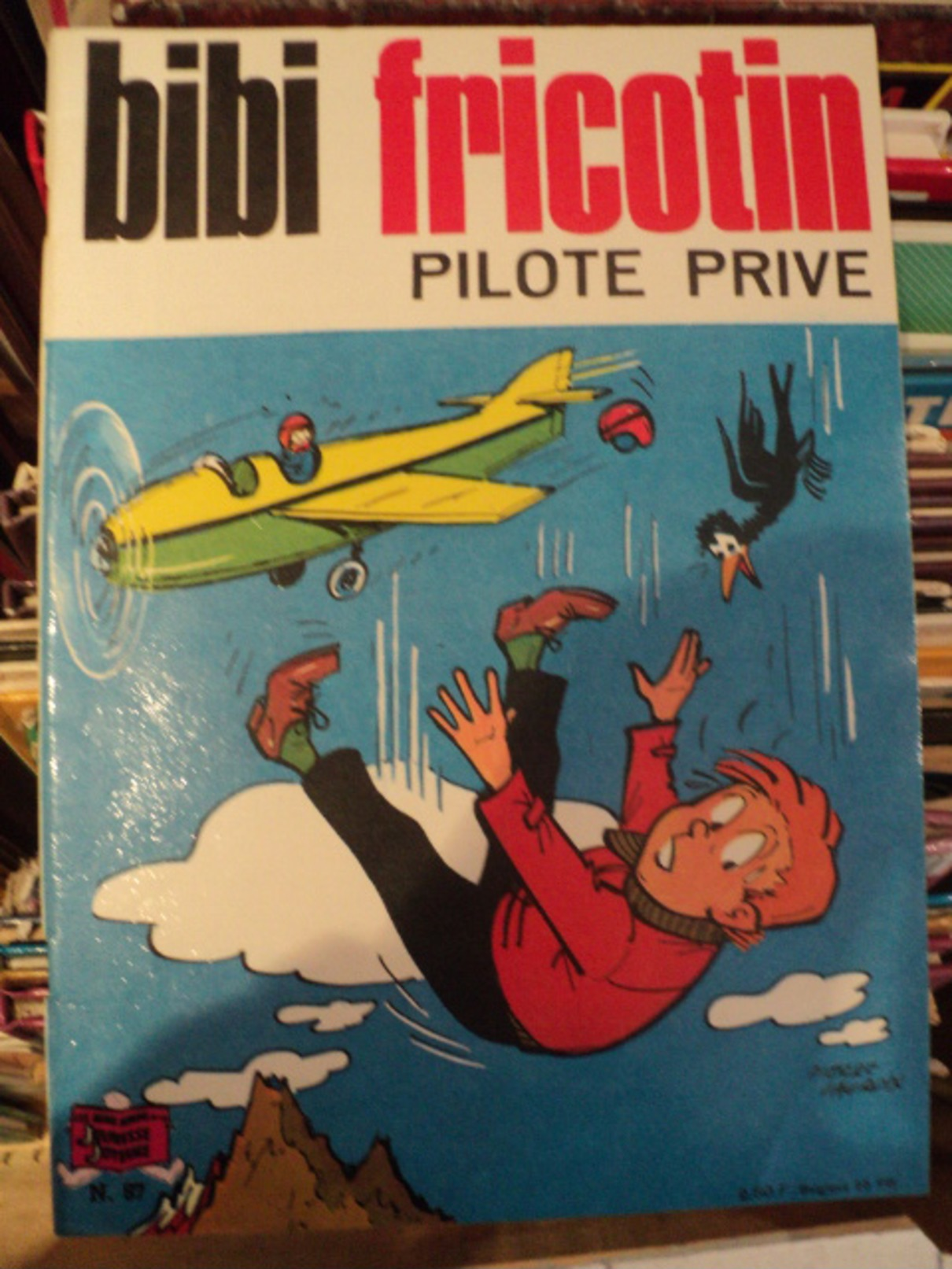 Bibi Fricotin - Pilote Privé - Bibi Fricotin