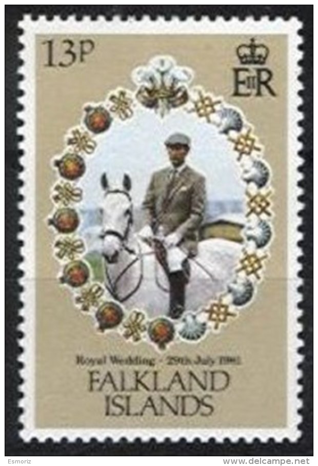 FALKLANDS, Yv 325, ** MNH, VF/XF, Cat. &euro; 60,00 - Falkland